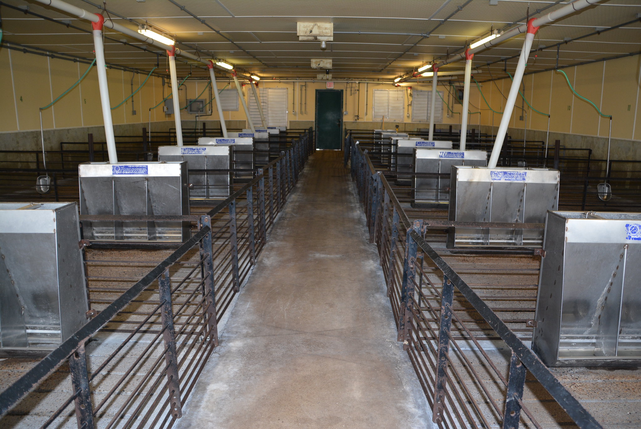 This photo is of the inside of a swine barn featuring inlets and fans that should be used properly for air quality of workers and pigs.